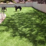 Synthetic Lawn Pet Turf Company El Cajon, Best Artificial Pet Turf Pricing