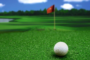 Ways To Create Winning Golf Course By Installing Artificial Grass El Cajon