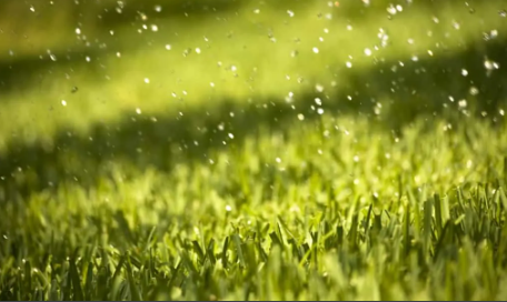 Reasons Why Artificial Grass Can Withstand Heavy Rainfall El Cajon