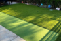 7 Tips To Design Your Landscape With Artificial Grass El Cajon