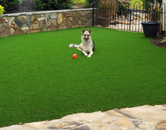 7 Tips To Install Artificial Grass To Create Pet Yards In El Cajon