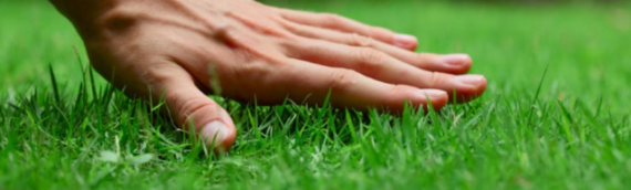 ▷5 Tips To Solve The Artificial Grass Problems In El Cajon