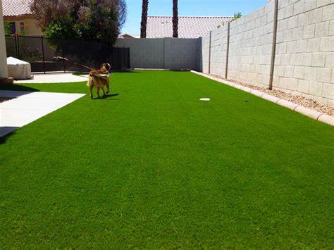 7 Tips To Install Artificial Grass For Your Pets In El Cajon