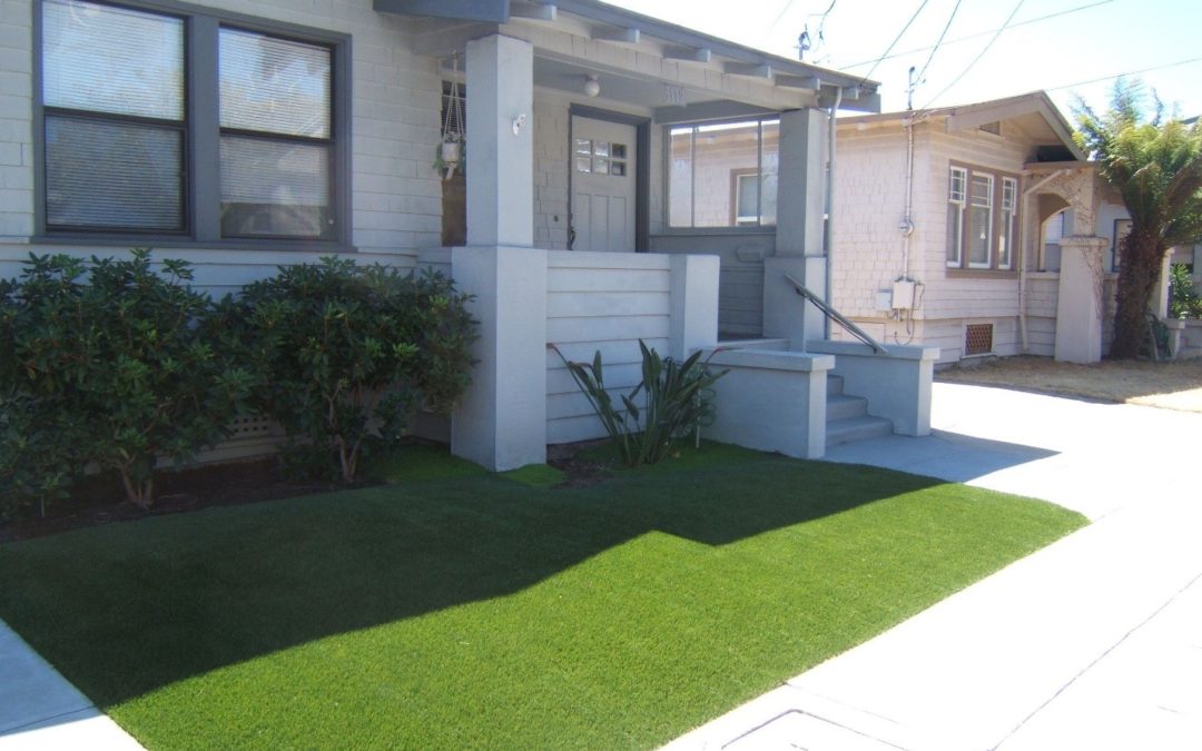 5 Tips To Take Care Of Your Artificial Grass In Hot Weather In El Cajon